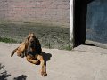 afb_20160506 (112)